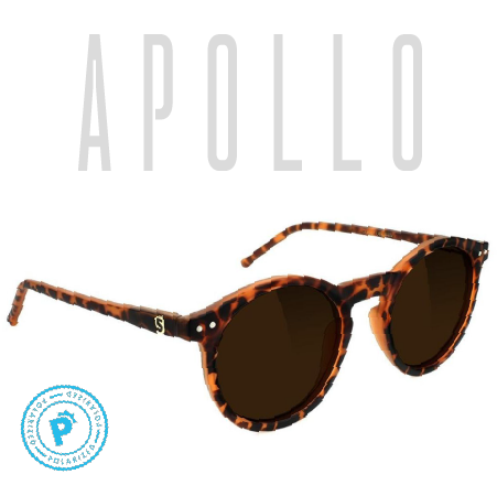 APOLLO PREMIUM POLARIZED - MATTE TORTOISE