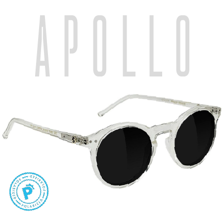 APOLLO PREMIUM POLARIZED - CLEAR/BROWN LENS