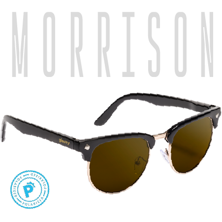 MORRISON POLARIZED BLACK / BROWN