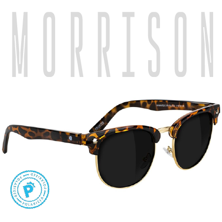 MORRISON POLARIZED - TORTOISE BLACK LENS