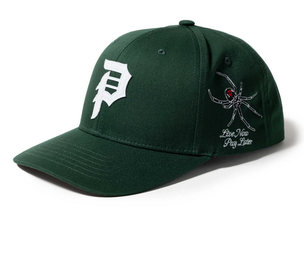 Temptation Snapback Green