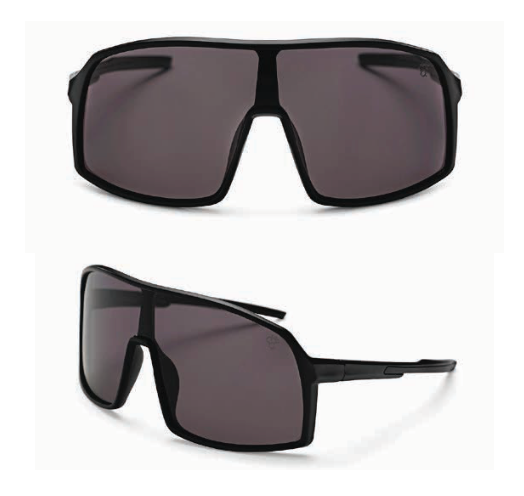 Erica Sunglasses Black
